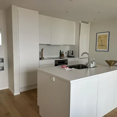 Daire Apartmentincopenhagen 1530
